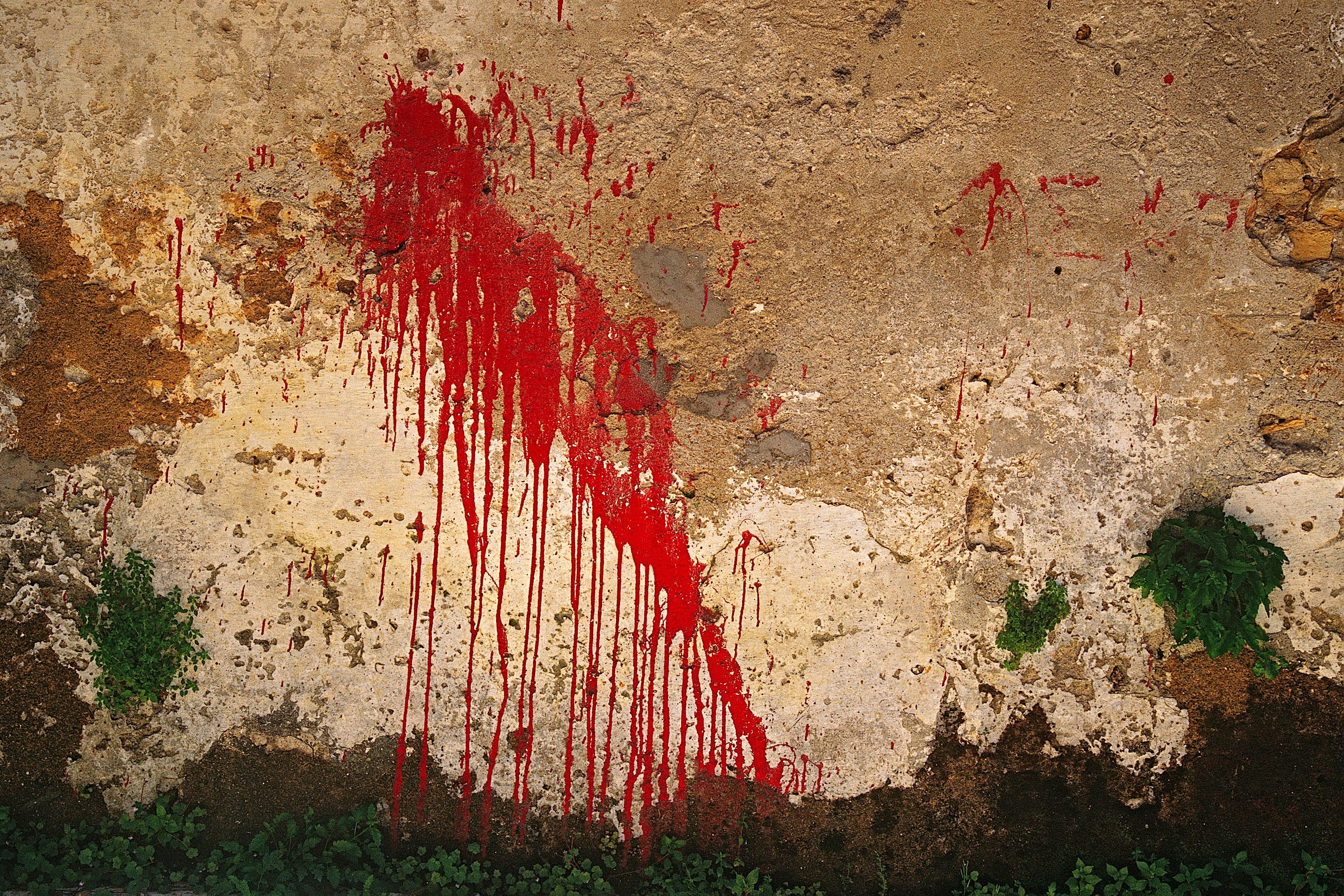 Herabgelaufene rote Farbe auf einer verwitterten Putzwand, am Fuß grüne Pflanzen
